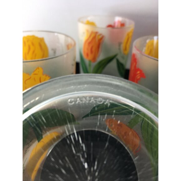 Vtg Precisioncraft Drinking Glasses Frosted Acrylic Parrot Tulip Design Set of 8 - Picture 14 of 14
